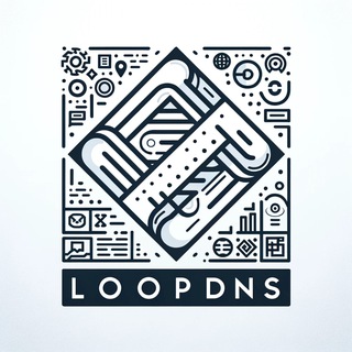 LoopDNS Plan